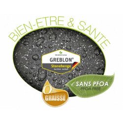 3 Poêles 20/24/28 cm + wok 32 cm + grill 28 cm + faitout 28 cm en pierre, Schumann