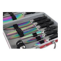 Knife case of kitchen knives titanium | Chez l'aveyronnais